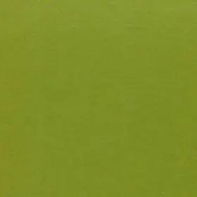Cartulina Canson A3 185G Verde Abeto