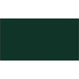 Cartulina 50X65 Amazonas Verde