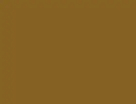 Cartulina 50X65 Chocolate