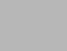 Cartulina 50X65 Perla Gris
