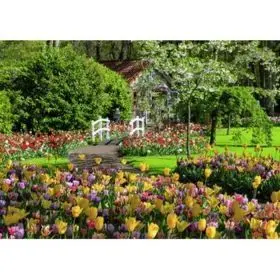 Parco Keukenhof, Pae