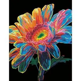 Neon Gerbera