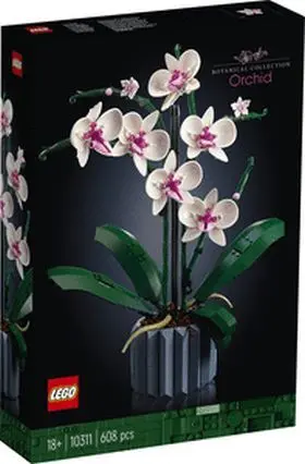 10311 Orquidea