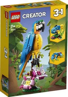 31136 Loro Exótico