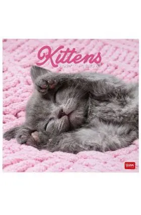 Wall Calendar 2027 - Cats Legami