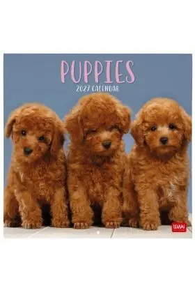 Wall Calendar 2027 - Dogs Legami
