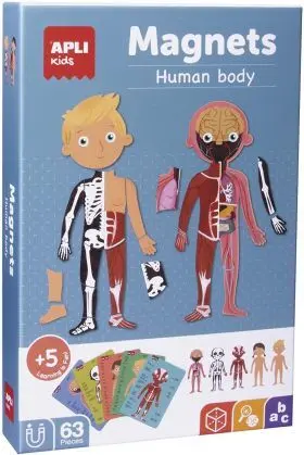 C. magnetico el Cuerpo Humano 63U