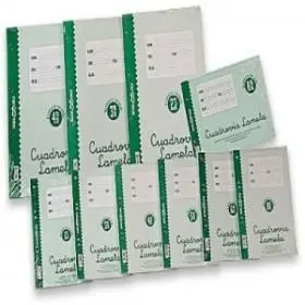 Recambio Fº 2,5Mm Lamela