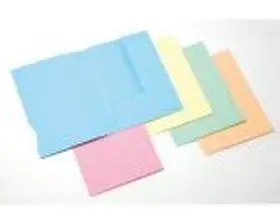 (25) Subcarpetas 2 Solapas A4 Colores Surtidos