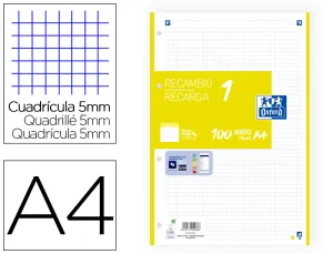 Recambio 1 Color Banda A4 100H 5X5 90G Lima