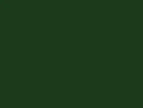 (25) Cartulinas Iris 50X65 Selva Verde