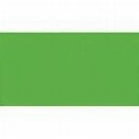 (25) Cartulinas Iris 50X65 Billar Verde