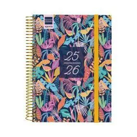 Sec. 1/4 1Dp 25-26 Tropical+