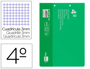 Recambio Liderpapel Cuarto Apaisado 100 H 2Tca-06 Cuadro 3Mm 2 Tal. Con Margen