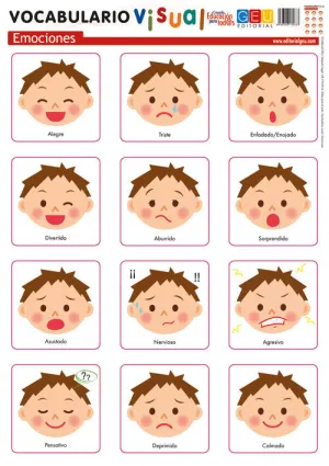 Laminas Vocabulario Visual. Emociones