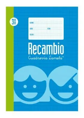 Recambio Lamela Fº - C 3 - 100 Hojas