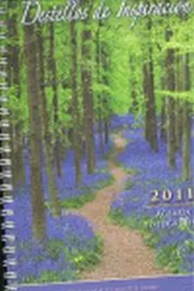 Agenda 2011 Destellos de Inspiracion