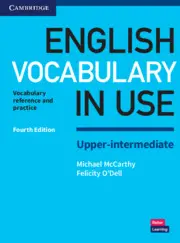 New English Vocabulary In Use Upper Intermediate F