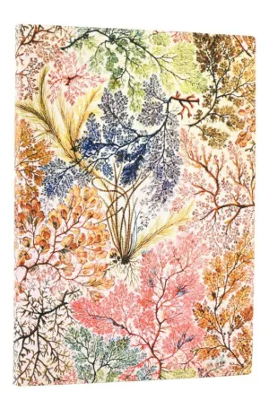 Paperblanks Libro William Kilburn / Anemone / Midi / Liso