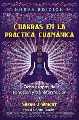Chakras en la Práctica Chamánica