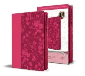 Biblia Reina Valera 1960 Letra Grande Simil Fucsia