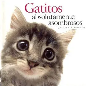 Gatitos Absolutamnete Asombrosos