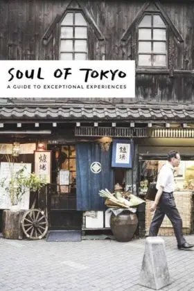 Soul Of Tokyo