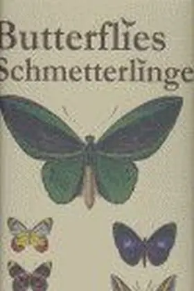 Butterflies Schmetterlinge (Place Des Victoires)
