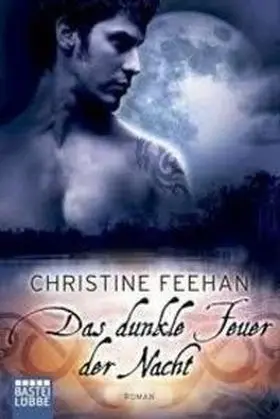 Das Dunkle Feuer Der Nacht