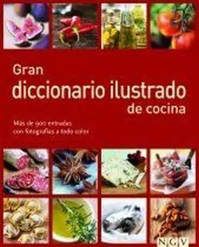 Gran Diccionario Ilustrado de Cocina