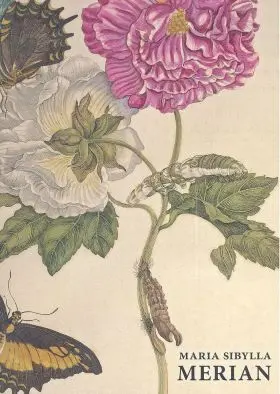 Maria Siblylla Merian- Ing