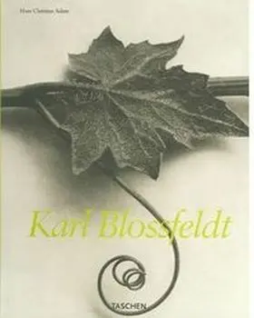Karl Blossfeldt