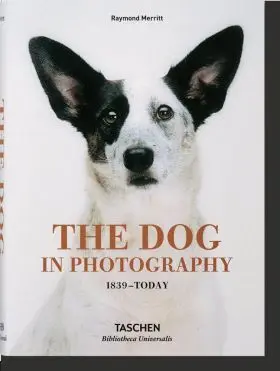 Dog In Photography 1839 Today (Al/Fr/In)