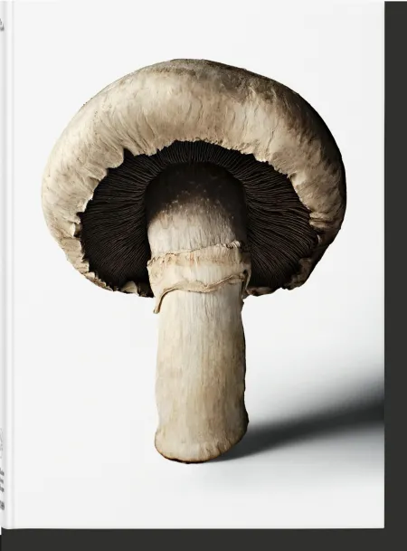The Gourmands Mushroom. A Collection Of Stories & Recipes
