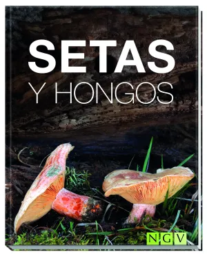 Setas y Hongos