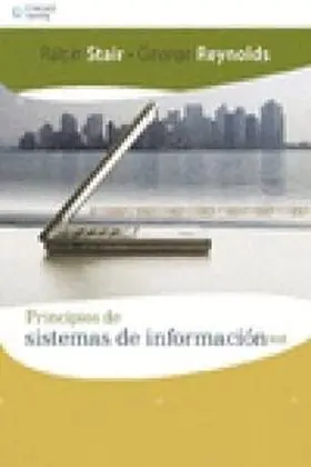 Principios de Sistemas de Informacion