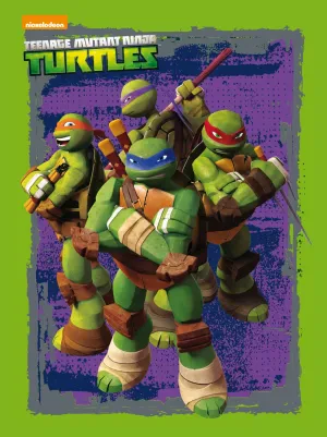Las Tortugas Ninja. Caja Metalica