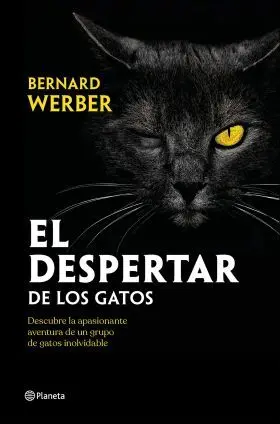 El Despertar de los Gatos