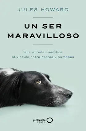 Un Ser Maravilloso