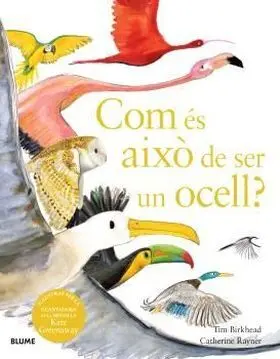 Com Es Aixo de Ser un Ocell?
