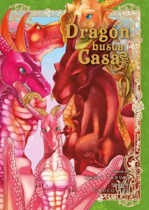 Dragón Busca Casa 9
