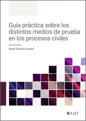 Guia Practica Sobre los Distintos Medios de Prueba en los Procesos Civiles