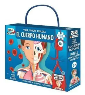 Cuerpo Humano