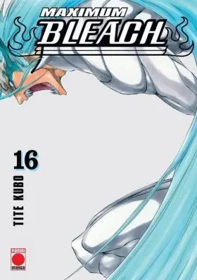 Maximum Bleach 16