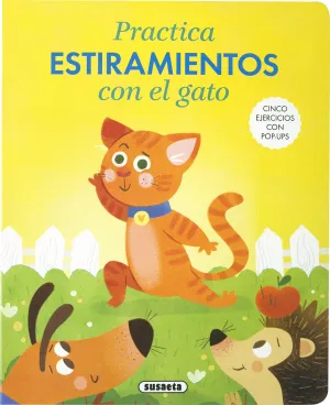 Practica Estiramientos con el Gato