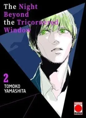 The Night Beyond The Tricornered Window N. 2