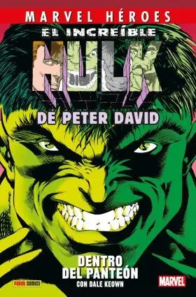 Marvel Heroes 112 el Increible Hulk de Peter Davis 3. Dentro del