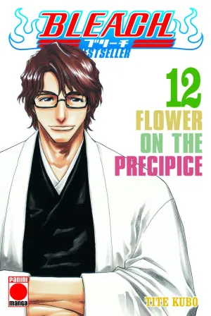 Bleach Bestseller 12