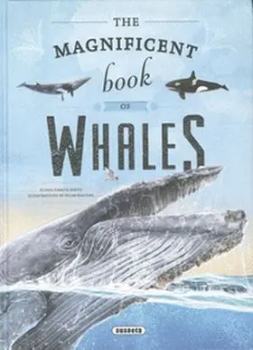 The Magnificent Book Of Whales