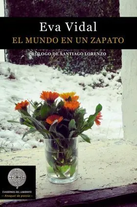 El Mundo en un Zapato